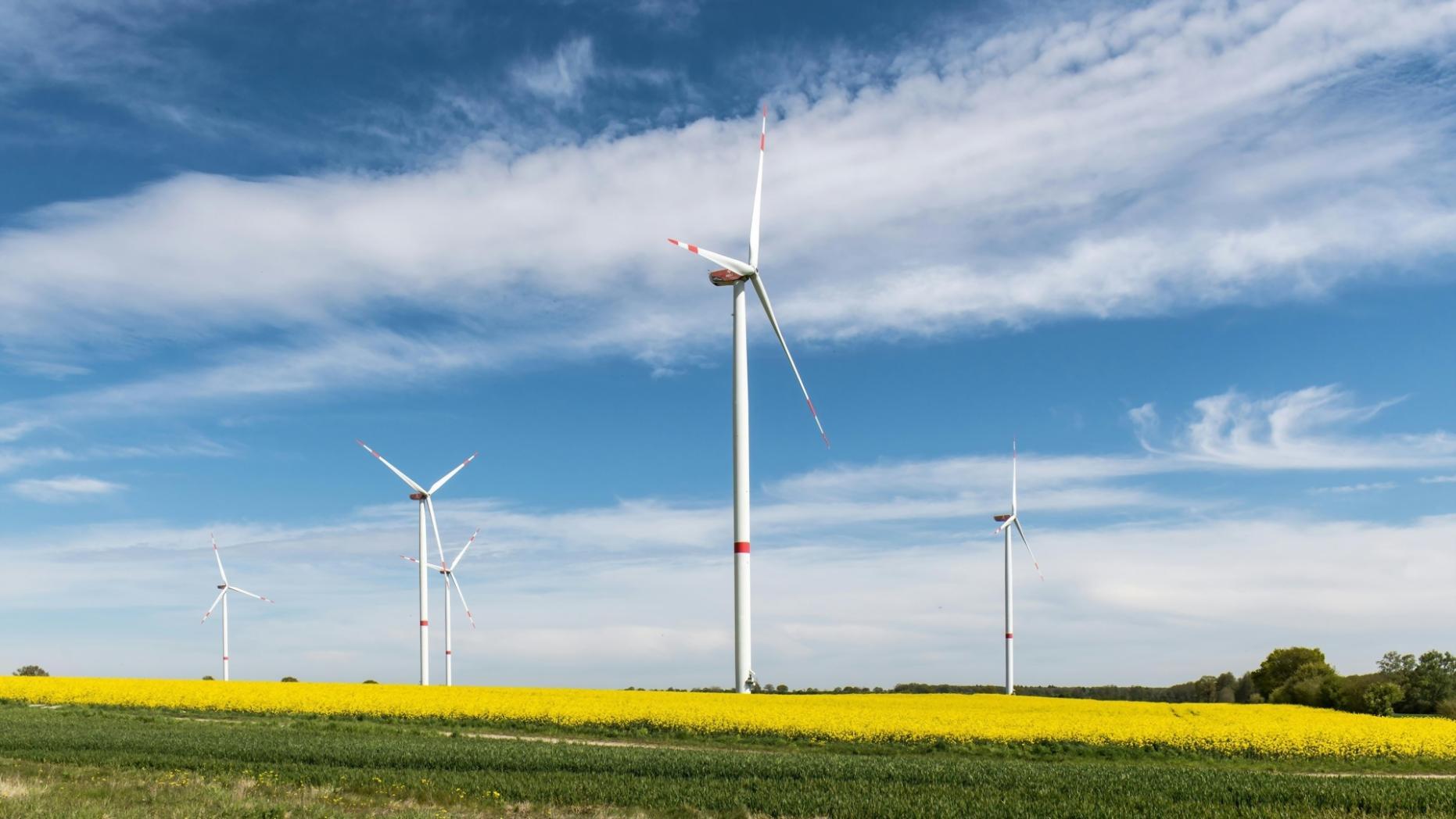 Процесс обучения в программе по атомной энергетике